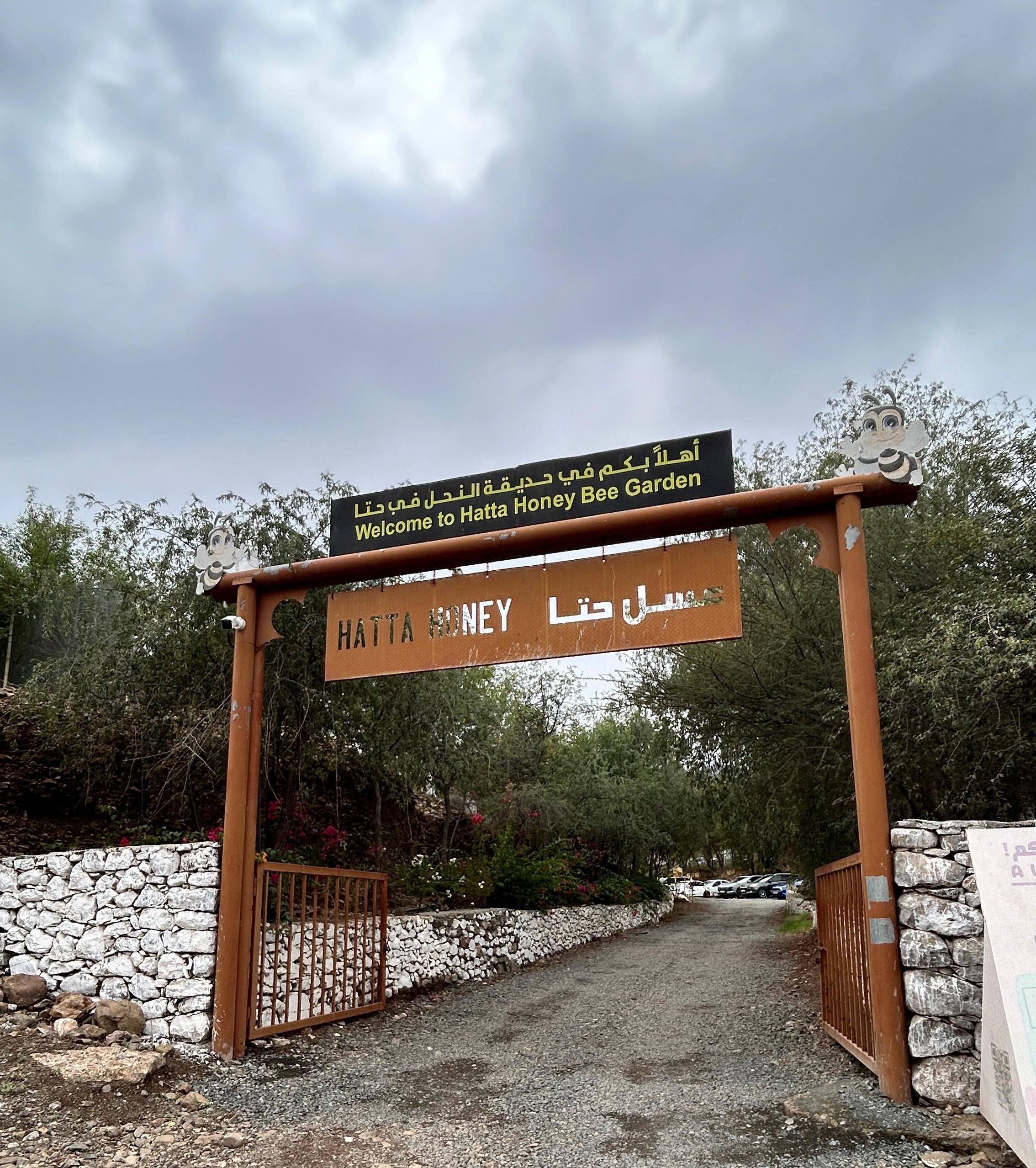 Hatta Honey Bee Garden: Holding Thousands of Bees Wasn't How I Planned to Spend Eid... But I'm Glad I Did